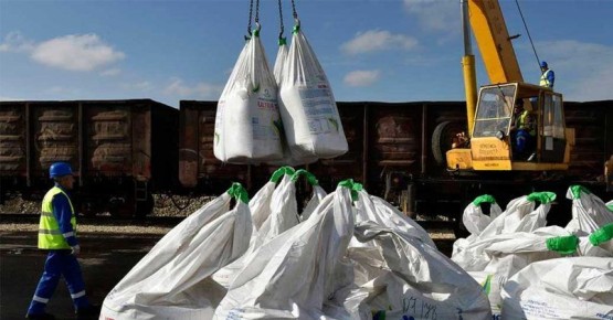 �� ������������� ���� �������� ��������� �������� �� ������ ���������� ���������