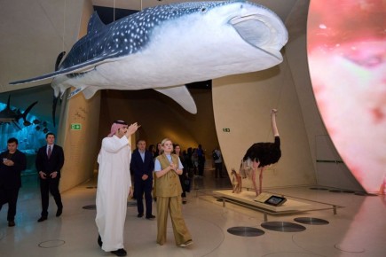 ����� ������ �������� ��������� ������ � �������� �����