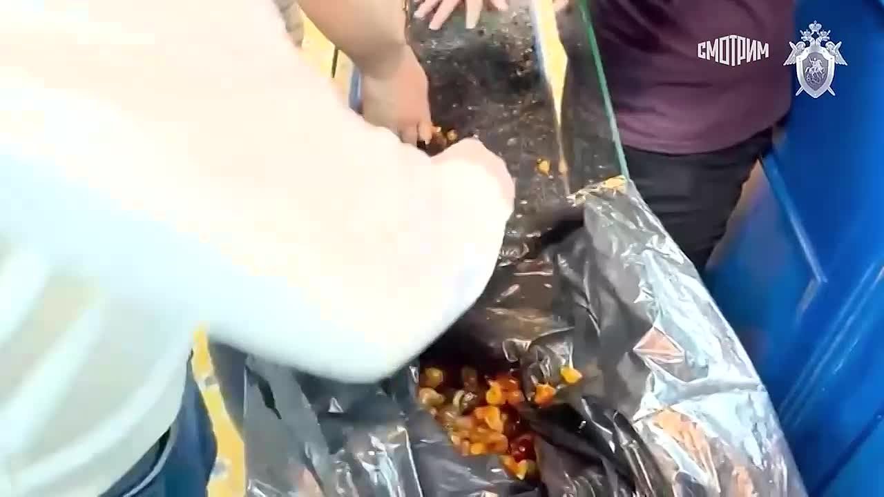 Калининградского депутата будут судить по делу о незаконном обороте янтаря, сообщает СК