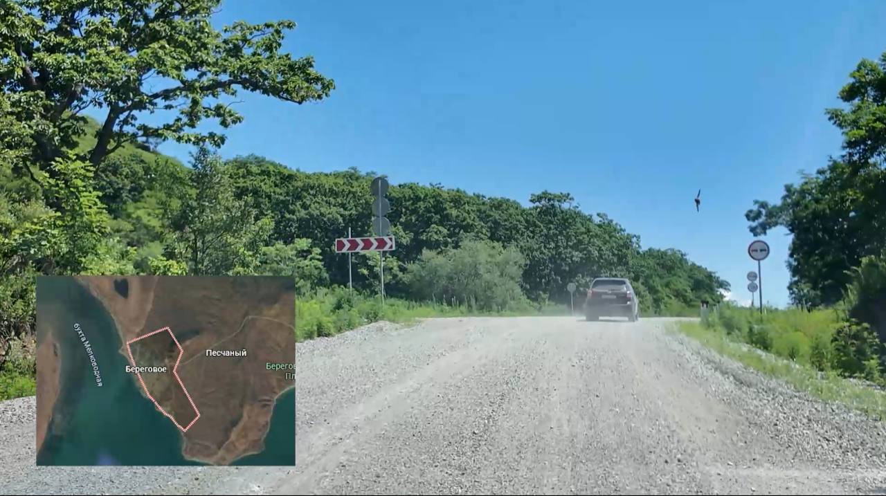 Скотомогильник нашли в соцсетях: громкая история во Владивостоке не подтвердилась, но до Бастрыкина дошла Скотомогильник нашли в соцсетях: громкая история во Владивостоке не подтвердилась, но до Бастрыкина дошла