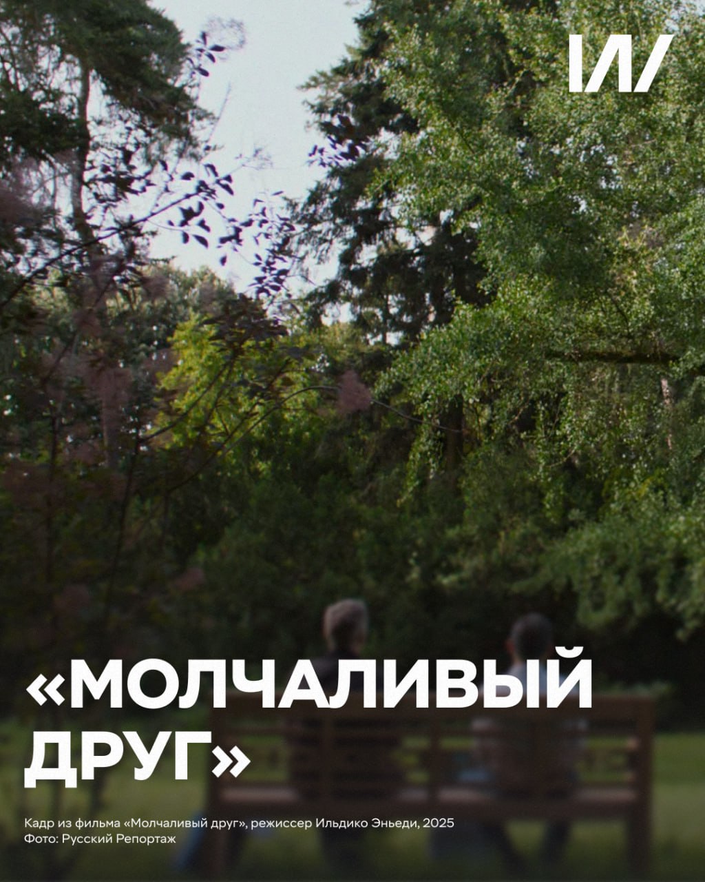 Кинопремьеры недели: каждому по горшку! Кинопремьеры недели: каждому по горшку!