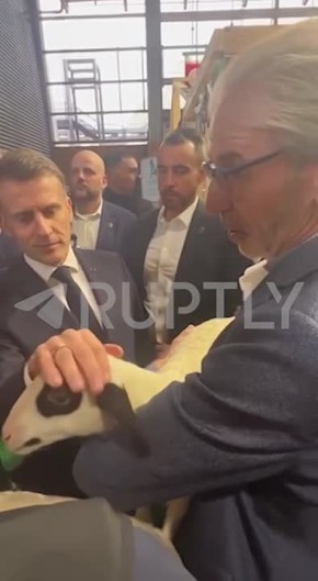 ��������� ��� ����������� �� �����, ��� ��� ������ �������� ���������� � ����� ���������� � � �� ��������