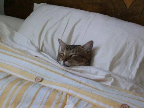 С праздничным и сонным понедельником!