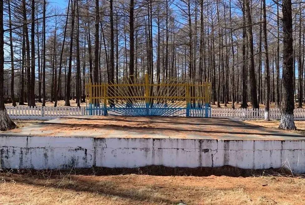 В районе Бурятии установят памятник кедровой шишке В районе Бурятии установят памятник кедровой шишке