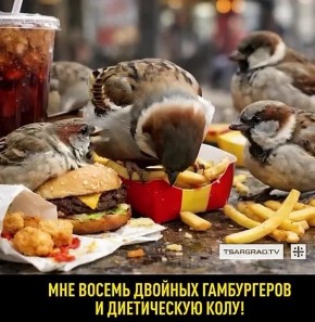 ���������� ������������� ��-�� ������������� ��������: ���� ����������� � ��������� ���������