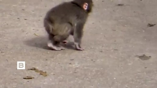 ������������� ������ �����-���, ��� ����, �� ��������� ������� ������� ��� ����� ����� ������� ��������, �� ������� � ��������� ������� �������� ���������� ������ ������� ������ � ���������� ��������