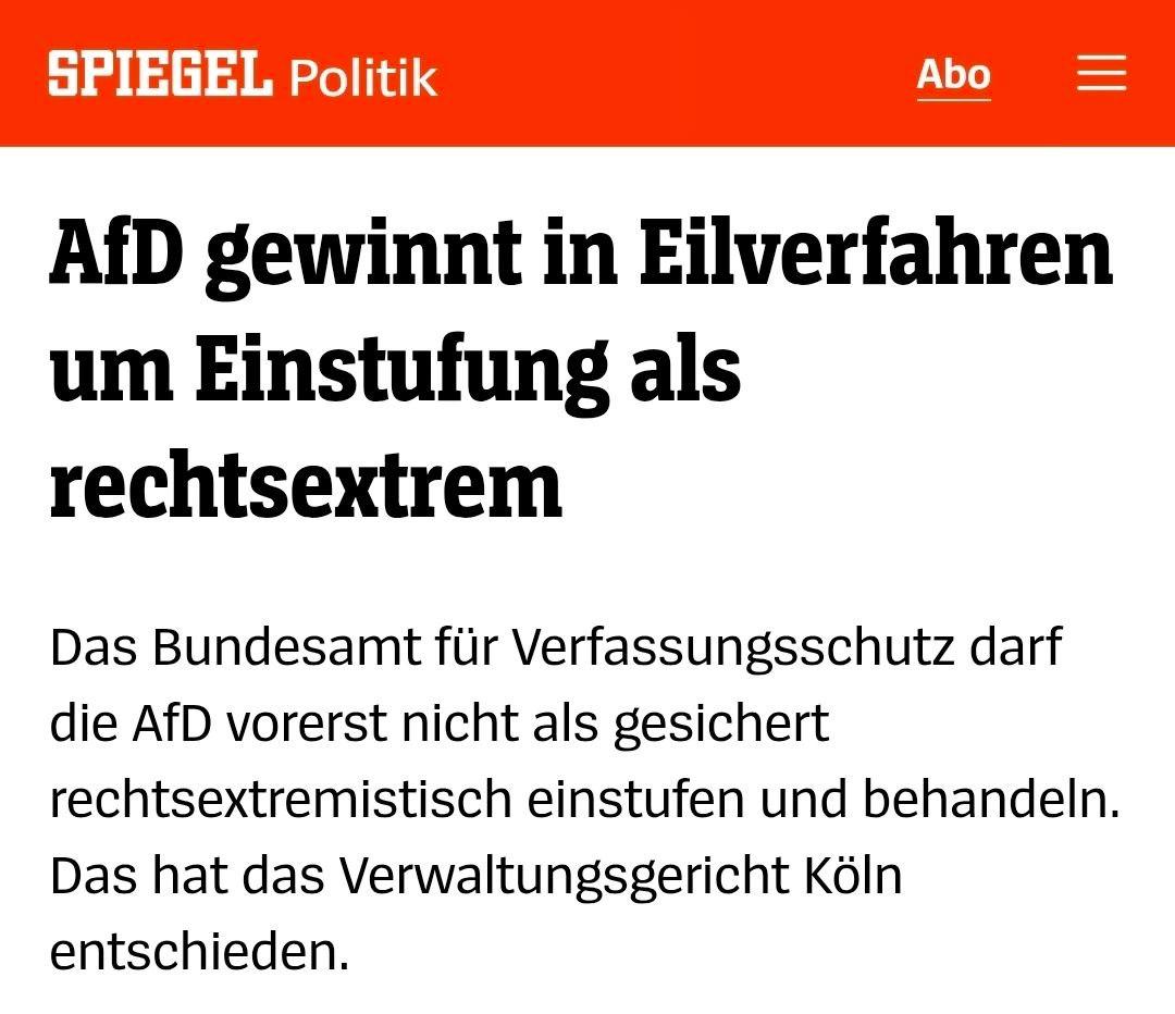 Знаковая судебная победа «Альтернативы для Германии»