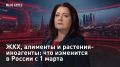 — СМОТРЕТЬ. "Мы в курсе": ЖКХ, алименты и растения-иноагенты: что изменится в России с 1 марта Никаких больше супермаркетов — только магазины