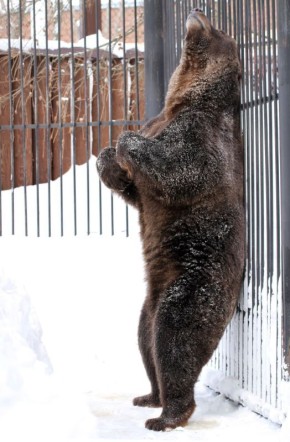 ����� ������� � ������������� �������� �������� ����� �� ������ ������