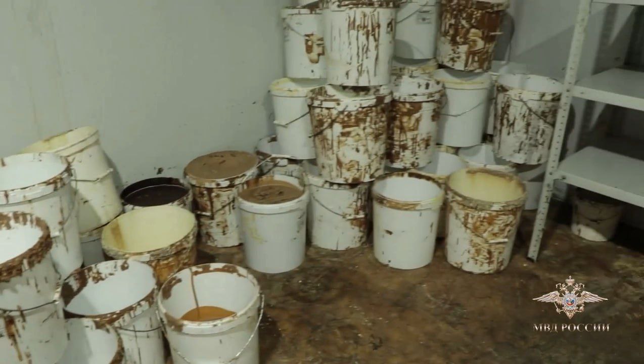 Найди 10 отличий. Заходишь на Wildberries, а там – она Найди 10 отличий. Заходишь на Wildberries, а там – она