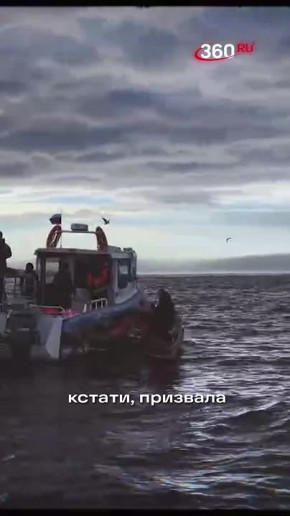 ����� ������� ��������, � �������� �������� ������