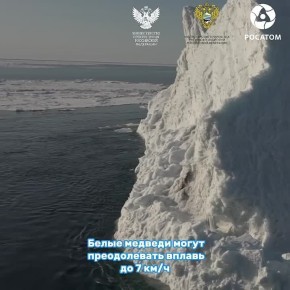 ���� ������� ����������?. ���� ���, �� ����� ����� ��������� �� ��������� � ������� 28��������! ������ � ���������� ������ � ��������� ����������� � ��� ������ �������� ������� �������