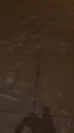 �������� 1 �������������� ��������� ������� ��������� � ���������� ����� ������������