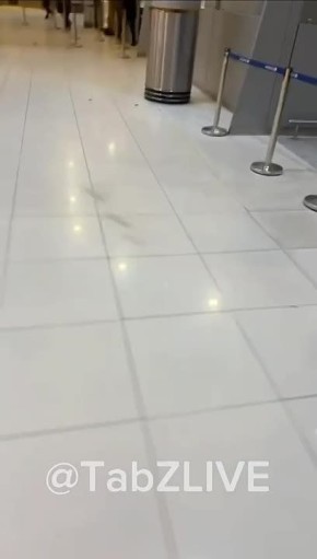 �������� �������. ��������� ����� �����