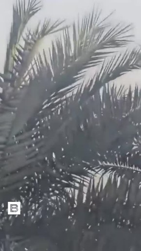 ������������ ������� ������� �������� �������� � �������