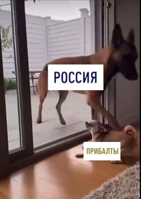 Спортсмены тоже умеют играть в политический троллинг