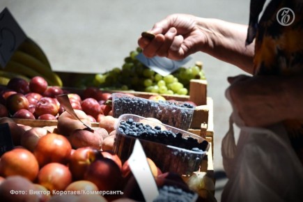 «Магнит» будет выращивать голубику и яблоки