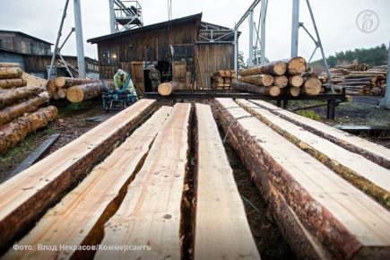 Российские лесопромышленники могут быть вынуждены в течение месяца выплатить миллиарды рублей из-за пересчитанной стоимости аренды лесных участков по правилам, вступившим в силу в 2024 году