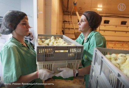 � �������� ������� ������� ���� �� ��������� ����� ����� �������� ������� �� 1�3%, � ���������� ������, � �� ����� ��� � ����� �������� ���� ����������� �������� ���������