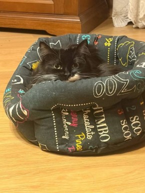 ������� ��������: ����������� ���������� � ������� - ����� ����� ����� ��������� � �����