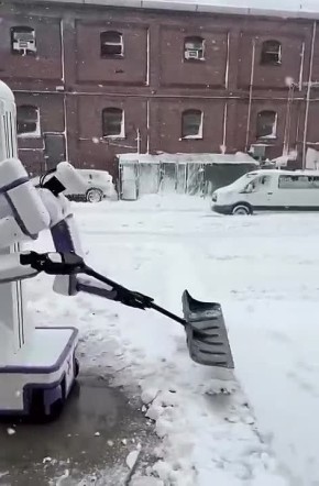 ������������ ������-�������� Reflex QR �� ����� ��������� ������� ��������� � ���-�����