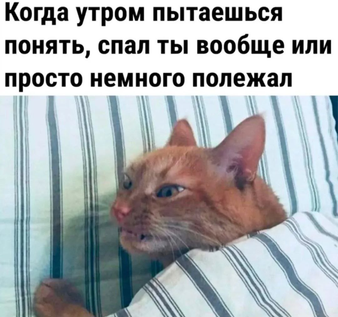 С добрым утром! Весенняя погодка всё ближе и ближе)