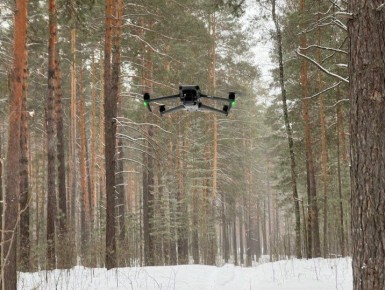 ���������� �������� ������� ���� �� ����������� � ���������� 50 ��