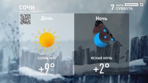 ��� ����� ������ ������� � �������