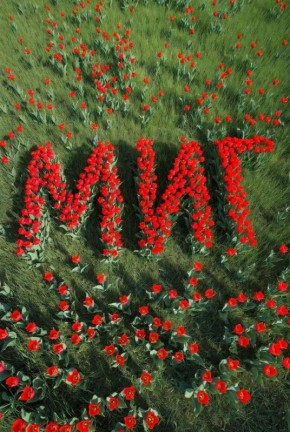 �� ���� ���� ����������� ����� ����� ��������, �����, ������ ���������, � ������������� ������� ���� 8 �����