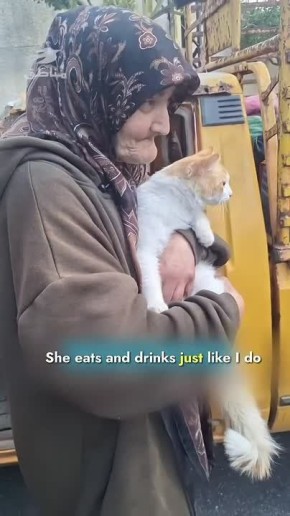 �� ������ ������ �����, �������� ������� � �������� ������� ������ ���: ���������� ��������� ����� �������� ��������