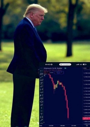 ���� �� ����� ���� �������