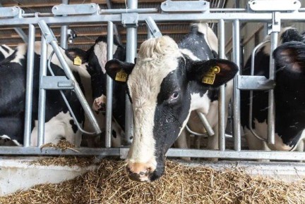 � ������ ������������� ������� �������� ��������� �����