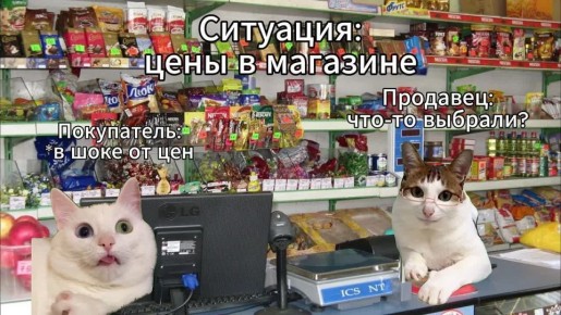 ����� �������� ������: �� ��������� ������� ��������� ����� ������ ������ ����-�������