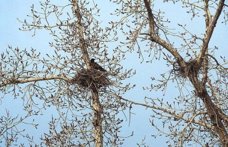 ������� ����� � ������ ���� � ������� ����� ��� ����