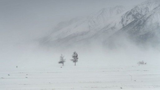 � ������� ����� ���������� ������