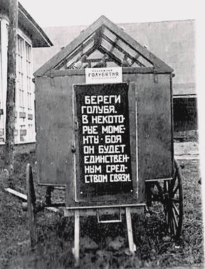 Telegram ��������. ��� �������? ���������� ���� � ������ ����������� ������������ �� ����� ����