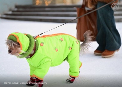 ����� ������� ������ ��� �������� �������� � ������ � ������� 2025 �� ������� 2026 ���� ������� �� 14% ��� � ����, ���������� ��������� ���������� ��Ļ