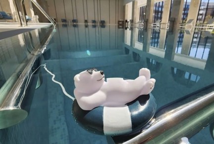 ������ ������ ���-���������� ��������� �������� � ������� 8����� ���