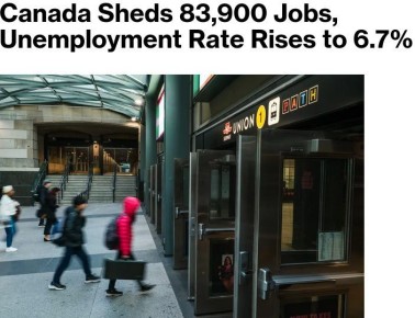 ������ �������� 84 ������ ������� ���� � �������