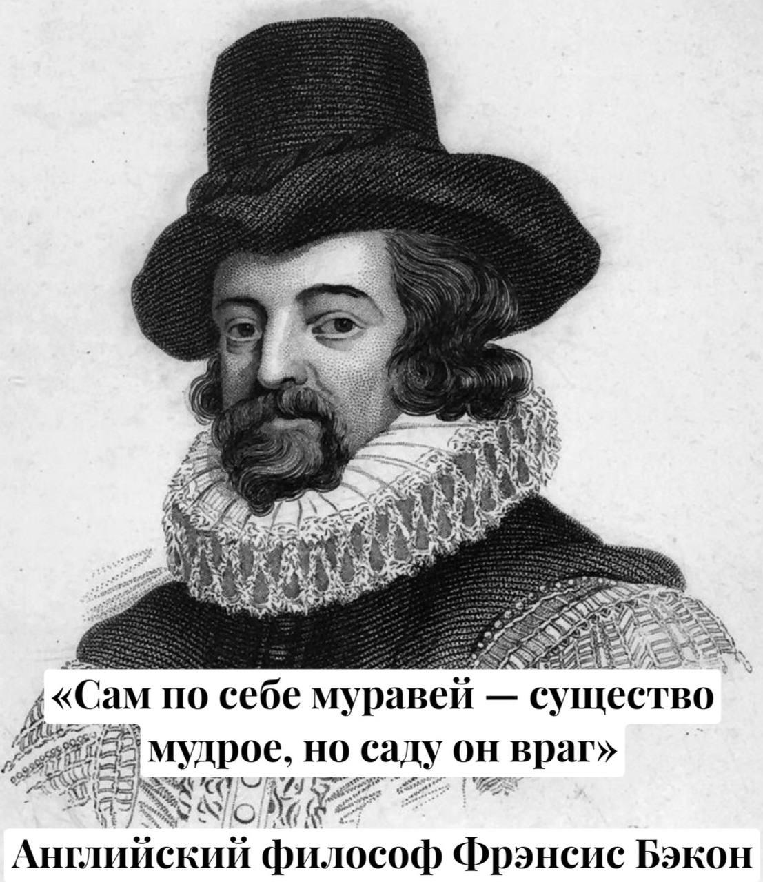 Николай Стариков в MAX